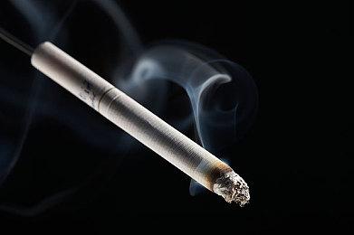 《怪物猎人崛起：曙光》新映象见闻录 加工商“米娜蕾”